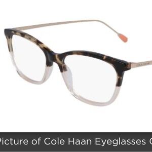 Cole Haan CH5039 Eyeglasses 651 Blush Tortoise 53mm